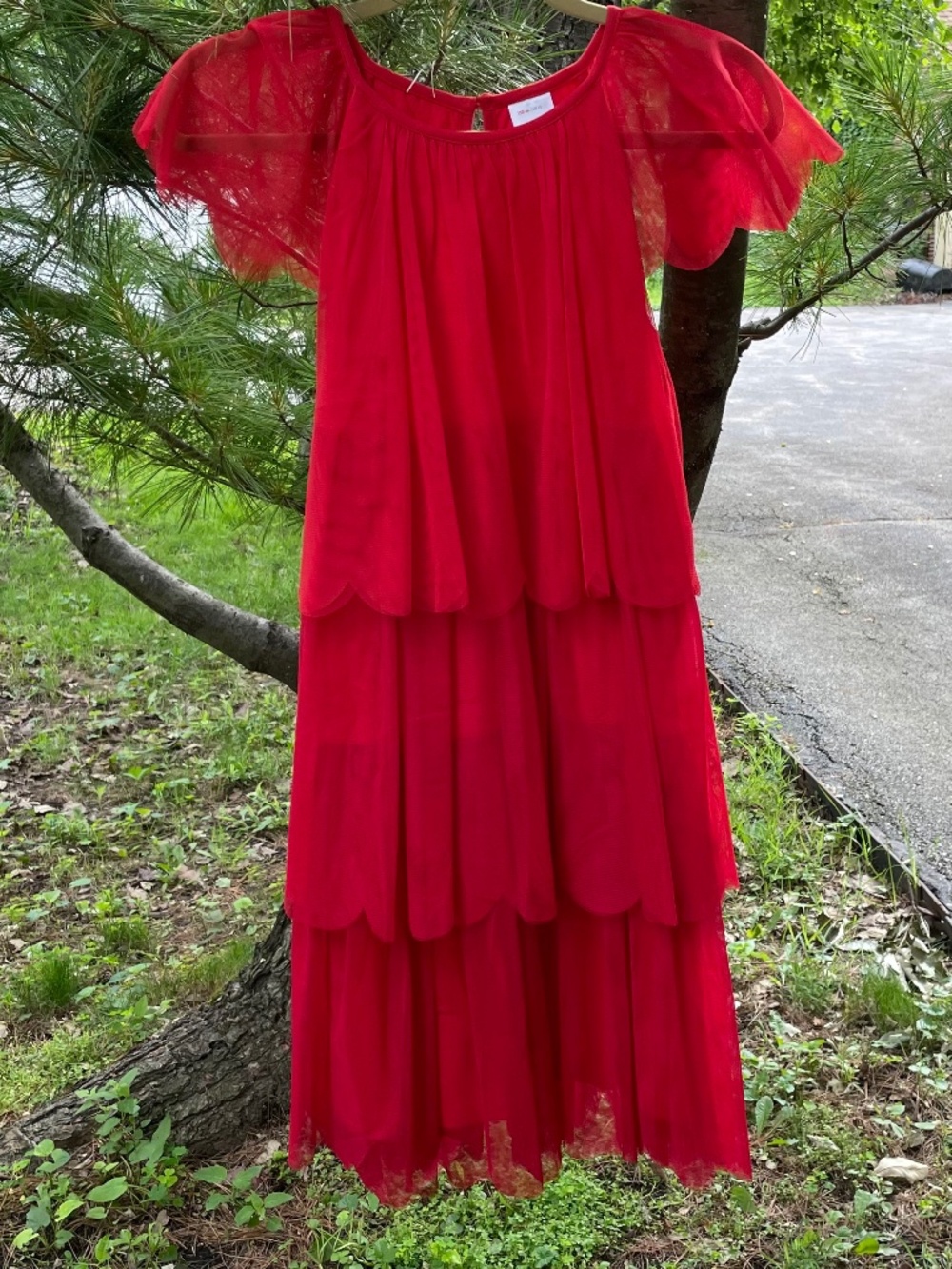 Hanna Andersson Tiered Tulle Dress